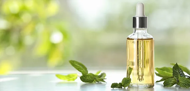 Flacon d'huile essentielle avec pipette entouré de feuilles de menthe sur fond flou à Muret en Haute-Garonne 31