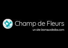 Champs des fleurs