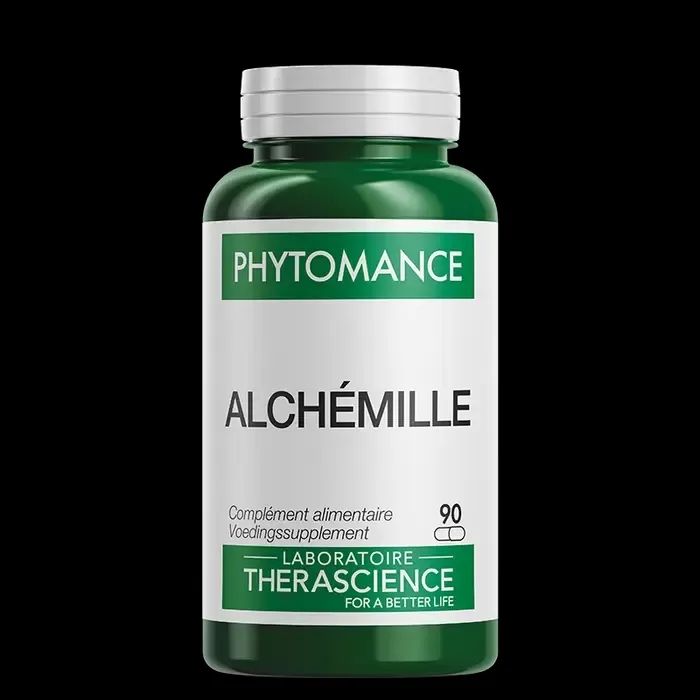 Alchémille