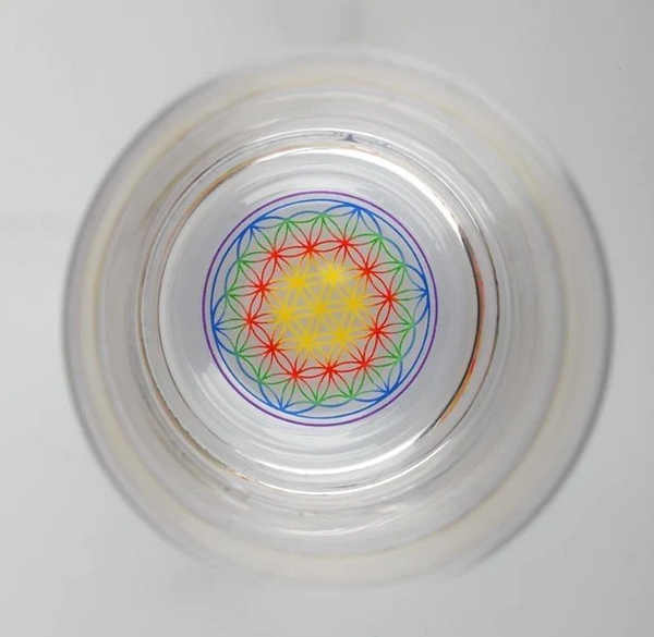 Jasmina en arc-en-ciel