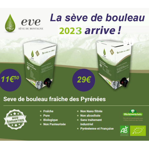 SEVE DE BOULEAU