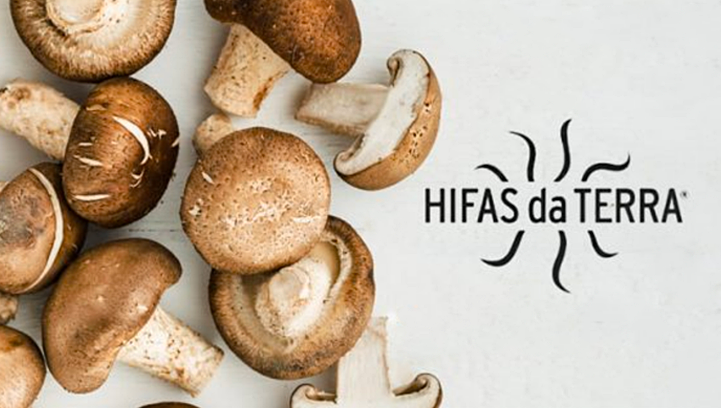 Hifas de Terra