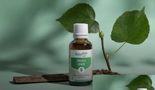 Concentrés de bourgeons