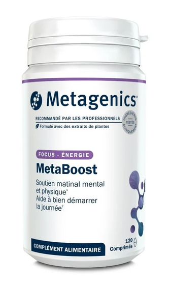 MetaBoost